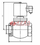 高溫蒸汽電磁閥結(jié)構(gòu)圖