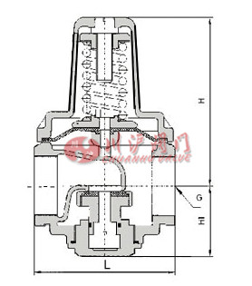 不銹鋼支管減壓閥結(jié)構(gòu)圖